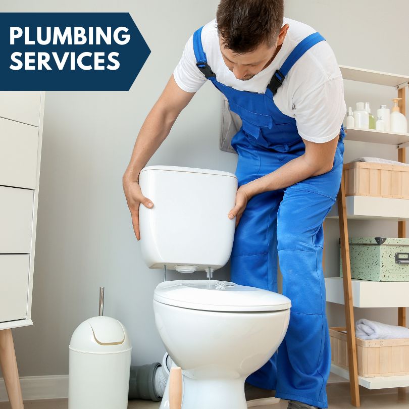 Plumbing Company in Foosland, IL